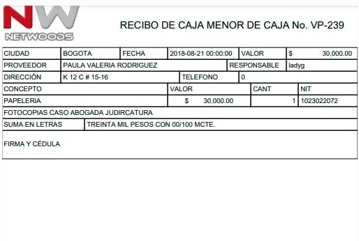 Caja Menor Caja Menor3