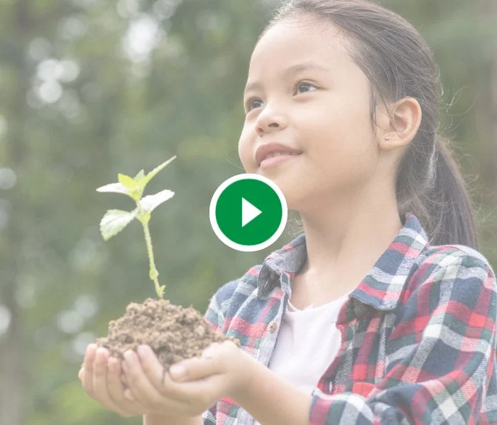 Fundación Red de Árboles Video RDA