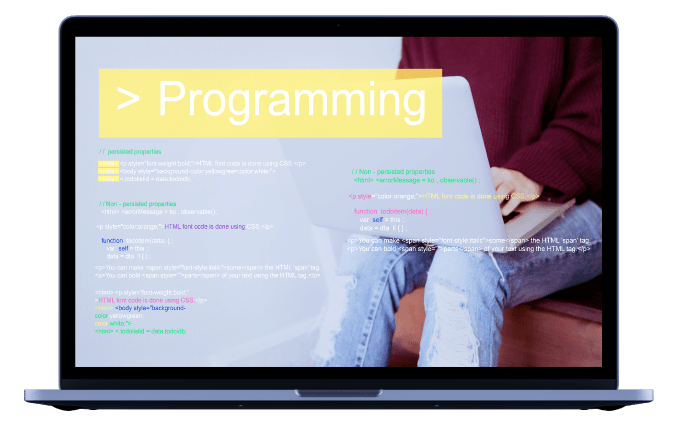 Desarrollo de software