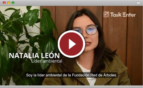 Desarrollo de software