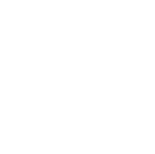 software