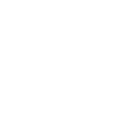 software