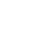software