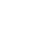 software