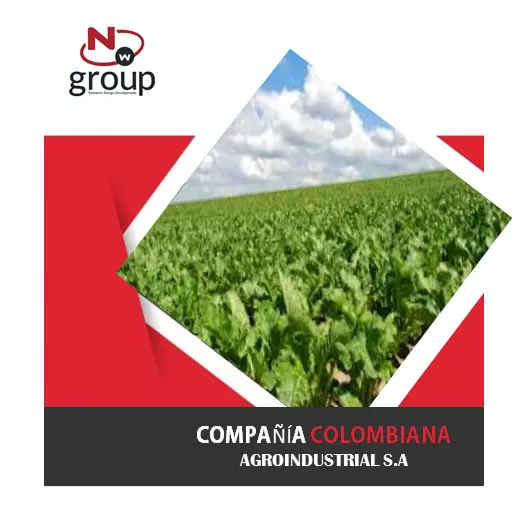 COMPAÑÍA COLOMBIANA AGROINDUSTRIAL S.A. Un nuevo reto NW
